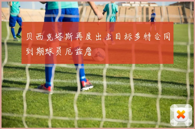 贝西克塔斯再度出击目标多特合同到期球员厄兹詹